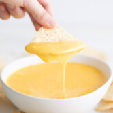 一张手的照片将玉米饼片浸入一碗纯素食奶酪中