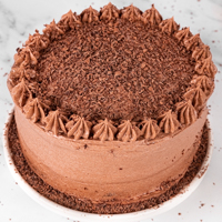 素食主义者巧克力蛋糕的方形照片